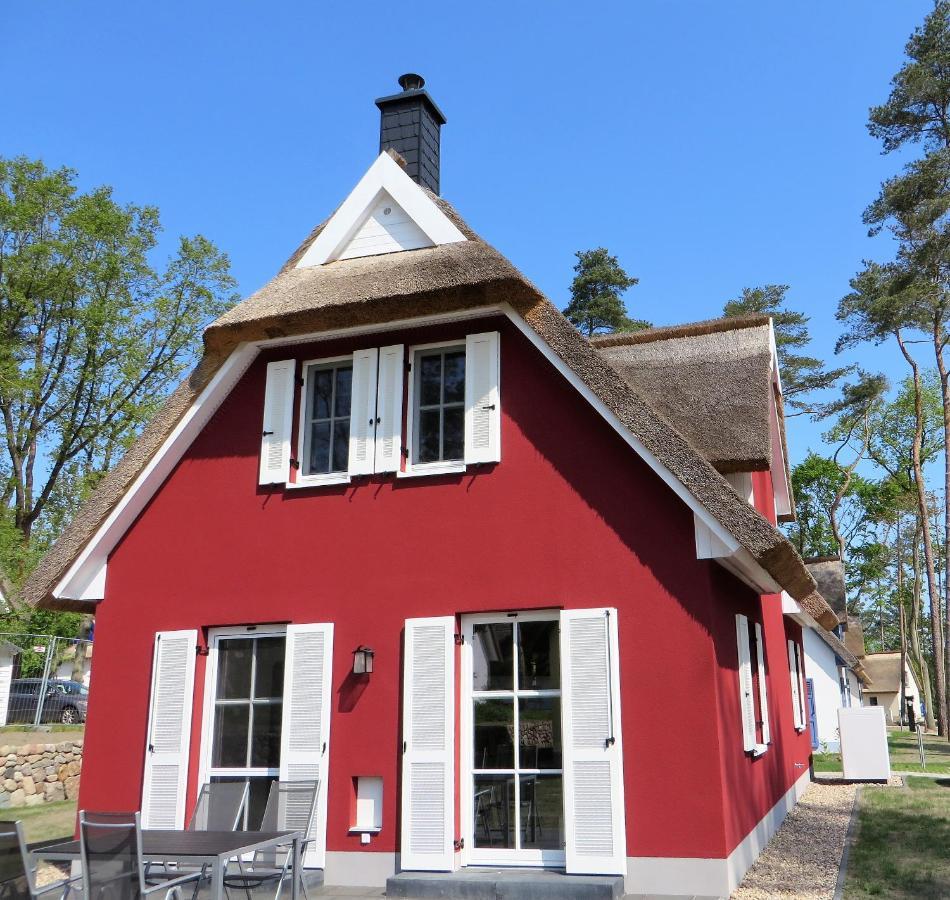 Reetdachhaus Am Haff Mit Sauna, Terrasse, Wlan Zirchow Exteriér fotografie